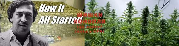 гидропоника Богданович
