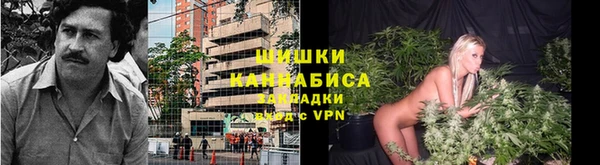 ALPHA PVP Богородицк