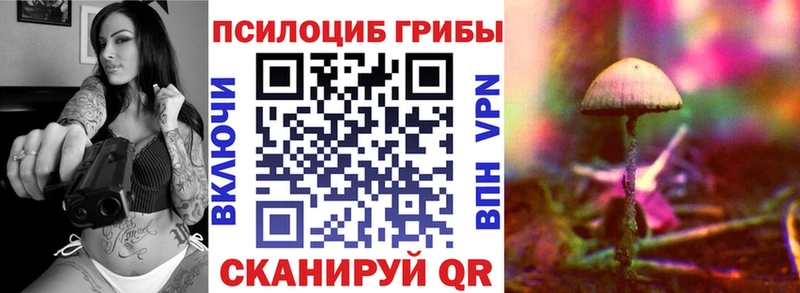 Псилоцибиновые грибы мухоморы  Берёзовка 